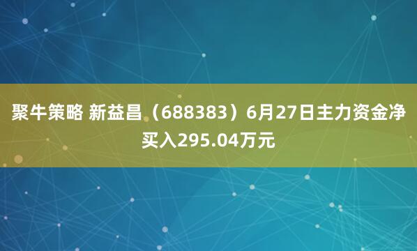 聚牛策略 新益昌（688383）6月27日主力资金净买入295.04万元