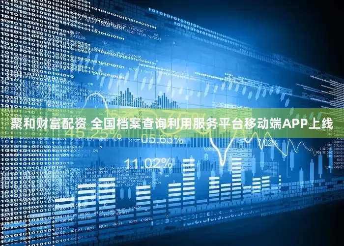 聚和财富配资 全国档案查询利用服务平台移动端APP上线