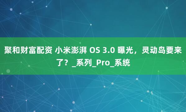 聚和财富配资 小米澎湃 OS 3.0 曝光，灵动岛要来了？_系列_Pro_系统