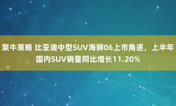 聚牛策略 比亚迪中型SUV海狮06上市角逐，上半年国内SUV销量同比增长11.20%