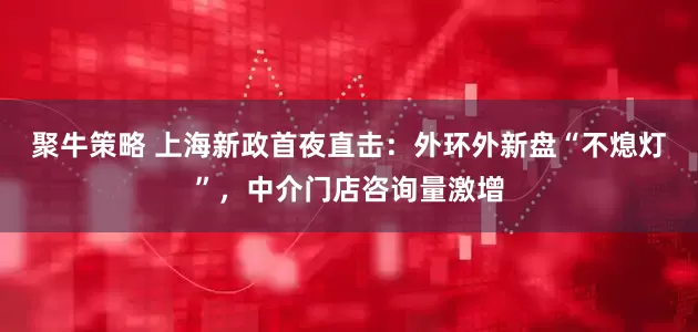 聚牛策略 上海新政首夜直击：外环外新盘“不熄灯”，中介门店咨询量激增