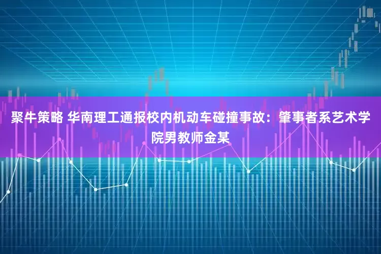 聚牛策略 华南理工通报校内机动车碰撞事故：肇事者系艺术学院男教师金某