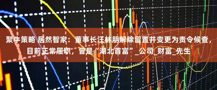 聚牛策略 居然智家：董事长汪林朋解除留置并变更为责令候查，目前正常履职，曾是“湖北首富”_公司_财富_先生