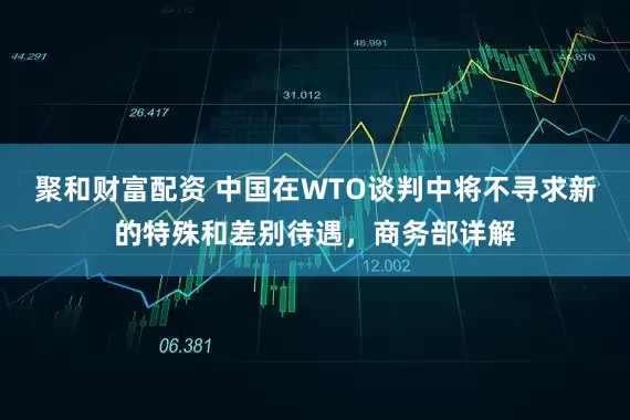 聚和财富配资 中国在WTO谈判中将不寻求新的特殊和差别待遇,商务部详解