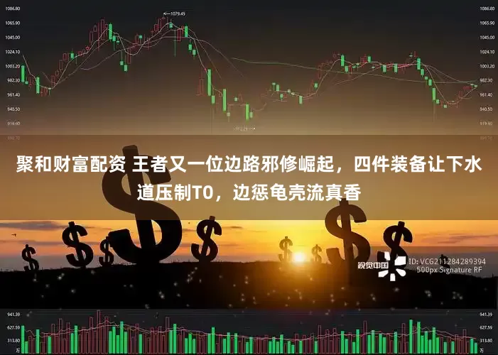 聚和财富配资 王者又一位边路邪修崛起，四件装备让下水道压制T0，边惩龟壳流真香